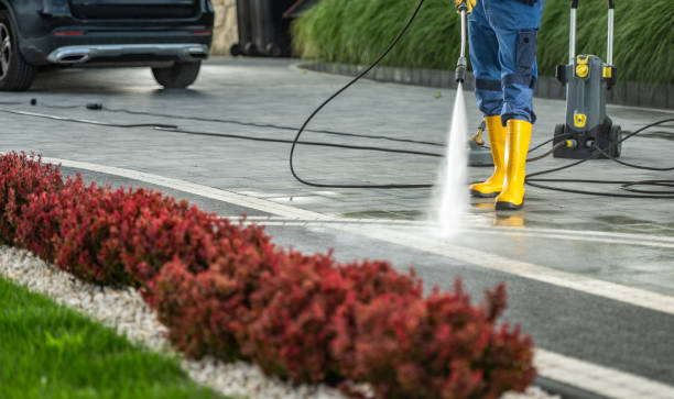 Best Rust Removal  in Belmont, VA